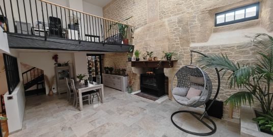 Propriété 425m² Plein Centre