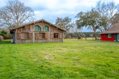 ED-13032025-L1000026