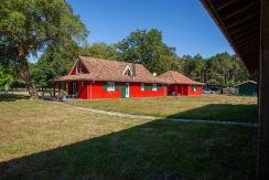 ED-29062025-IMG_1372