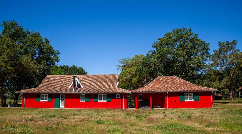 ED-29062025-IMG_1449