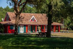 ED-29062025-IMG_1484