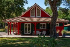 ED-29062025-IMG_1506