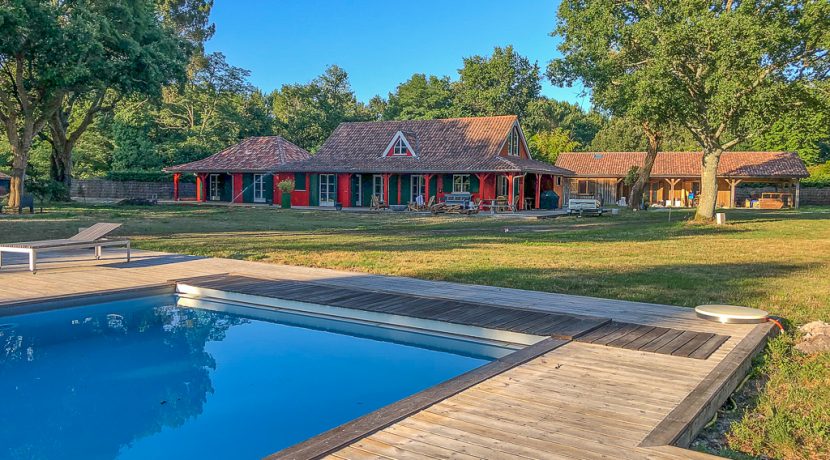 ED-29112020-ED-19072019-IMG_1190