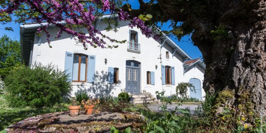 Maison de Charme 235m² Rénovée + Jardin 1250m²